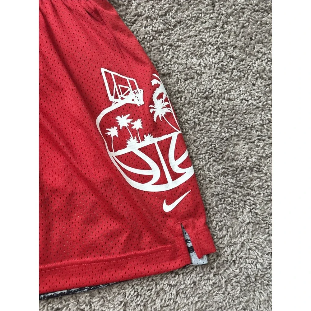 Nike Standard Issue Mens Large Mesh Basketball Shorts New Reversible DV9607 010